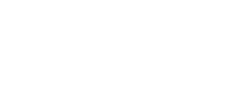 logo_sfg sfg individuelle loesung